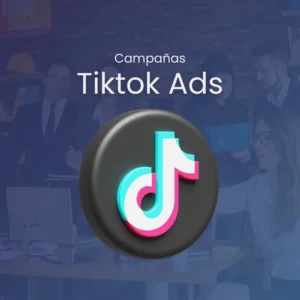 TikTok Ads